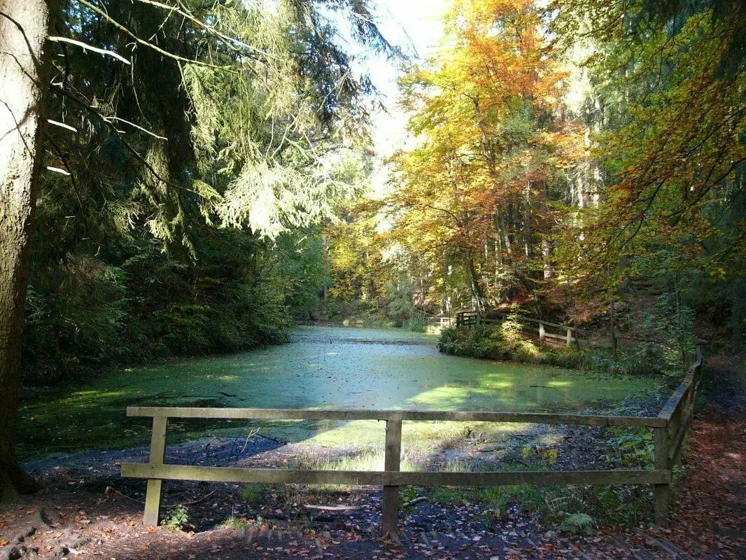 Naturidylle pur: Der Märchensee bei Wendelsheim ist von Hechingen aus zwar nicht ohne Umsteigen, aber doch auch mit Bahn und Bus zu erreichen.