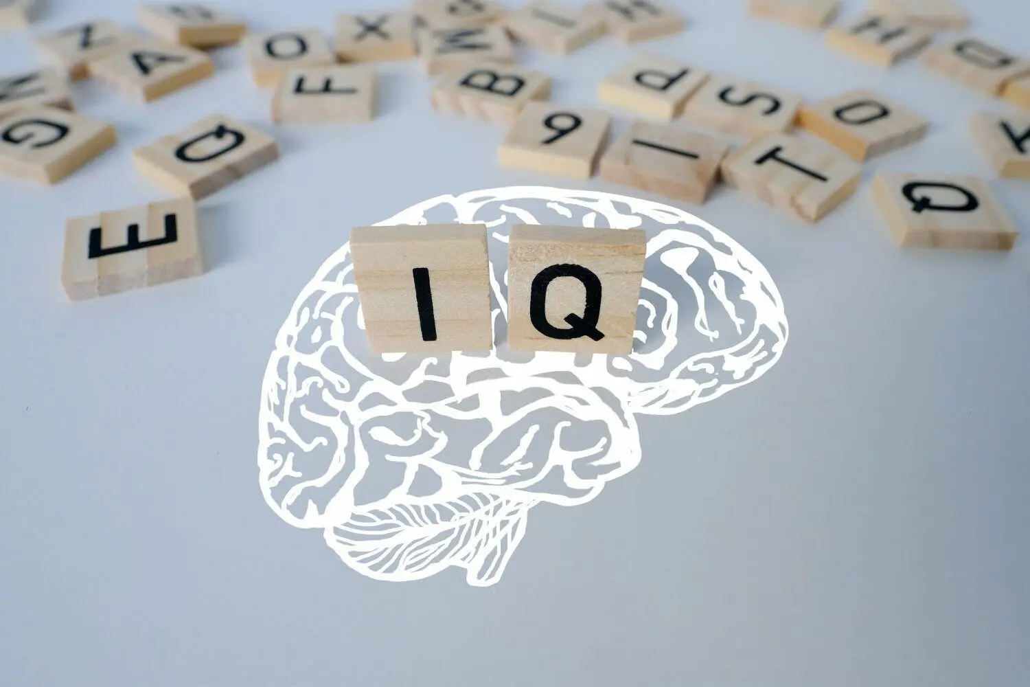 Die Begabungsforscherin Tanja Gabriele Baudson sagt: „Intelligenz ist kein Selbstläufer, sie garantiert nicht den Erfolg in der Schule oder im Beruf.“