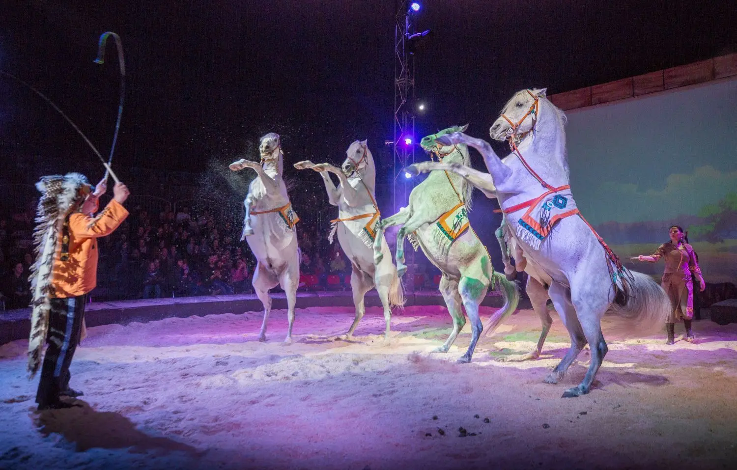 Nicht nur ein Mädchentraum: Die Pferdeshow „Yakari und Kleiner Donner“ gastiert in der Friedrichsau.⇥