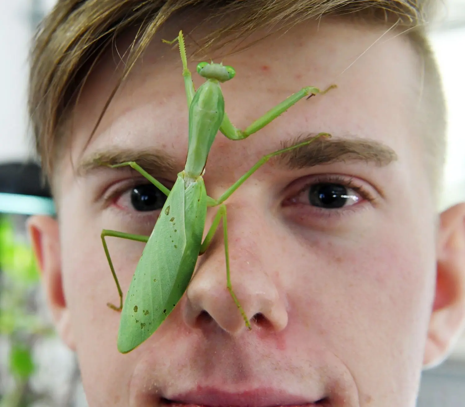 Insektenzüchter Adrian Kozakiewicz ist ein Internet-Star