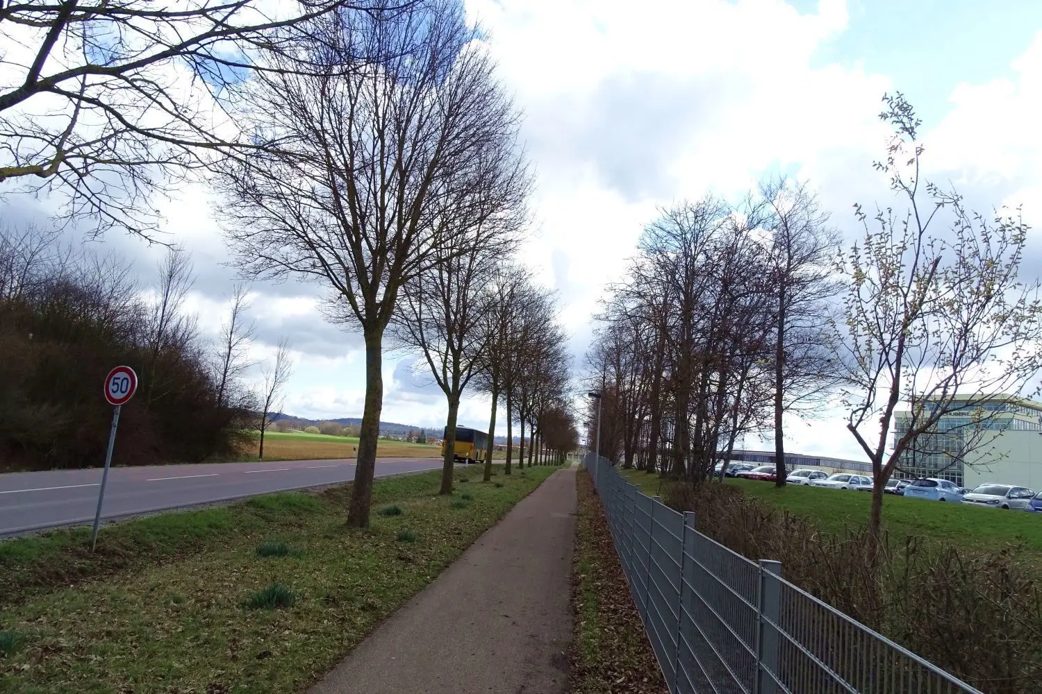 Ohne Laub lassen sich Weg und Straße gut erkennen, die dem Unternehmen (rechts) weichen werden.⇥