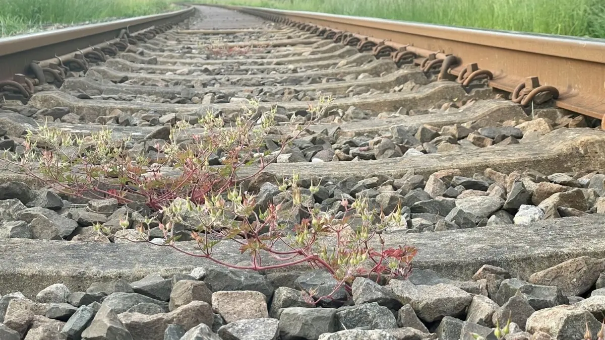 Die Westfrankenbahn schickt erneut weniger Züge auf die Schiene.