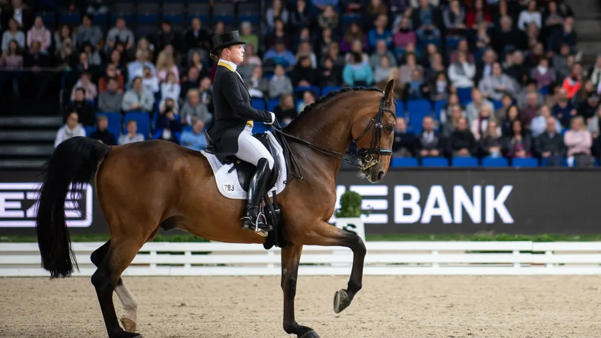In dieser Woche finden in Stuttgart die 37. Internationalen German Masters statt. Alle Infos zum Reitturnier.
ARCHIV - 17.11.2019, Baden-Württemberg, Stuttgart: 35. Stuttgart German Masters, Pferdesport, Dressur, Master: Deutschlands Isabell Werth reitet auf ihrem Pferd Emilio. Werth belegte am Freitag im Grand Prix des Weltcup-Turniers den ersten Platz. (zu dpa: «Dressur: Werth bei Weltcup-Turnier in Stuttgart auf Platz eins») Foto: Sebastian Gollnow/dpa +++ dpa-Bildfunk +++