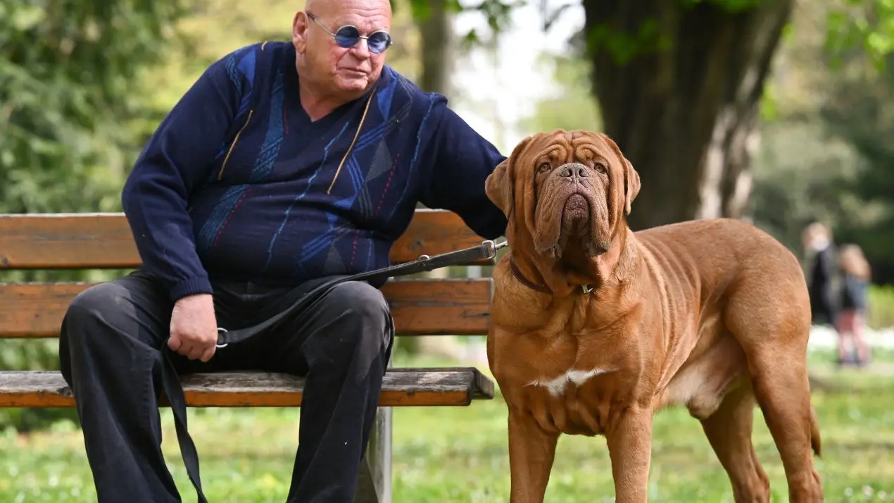 In puncto Falten kann Uwe Schmid mit Freddy nur mäßig mithalten.⇥