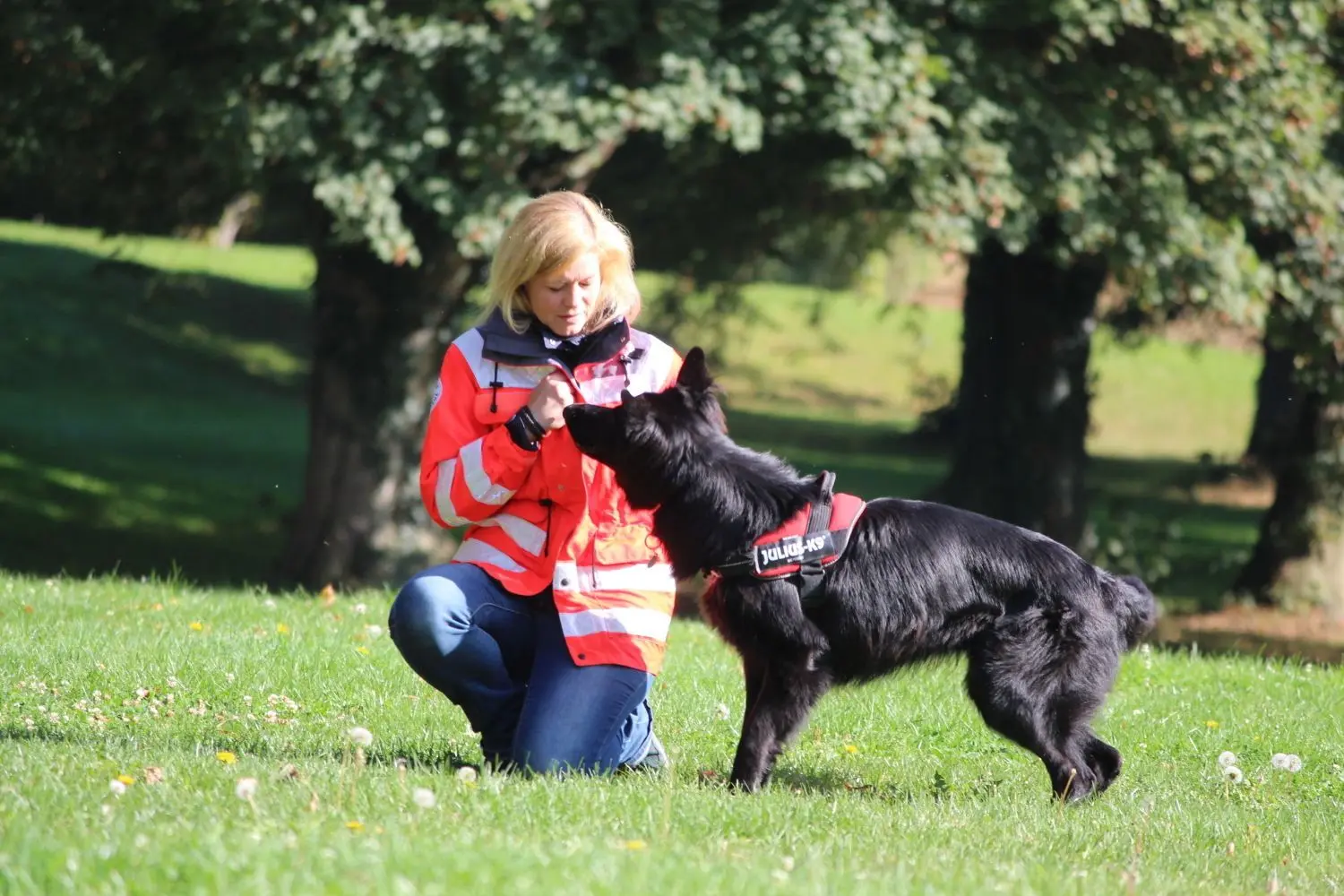 Sabrina Jurthe aus Gaildorf hat einen jungen Schäferhund mit Rufen zu sich gelockt. Dieser muss nun verbellen. Als Belohnung gibt es ein Leckerli, das weiß der Vierbeiner schon ganz genau.