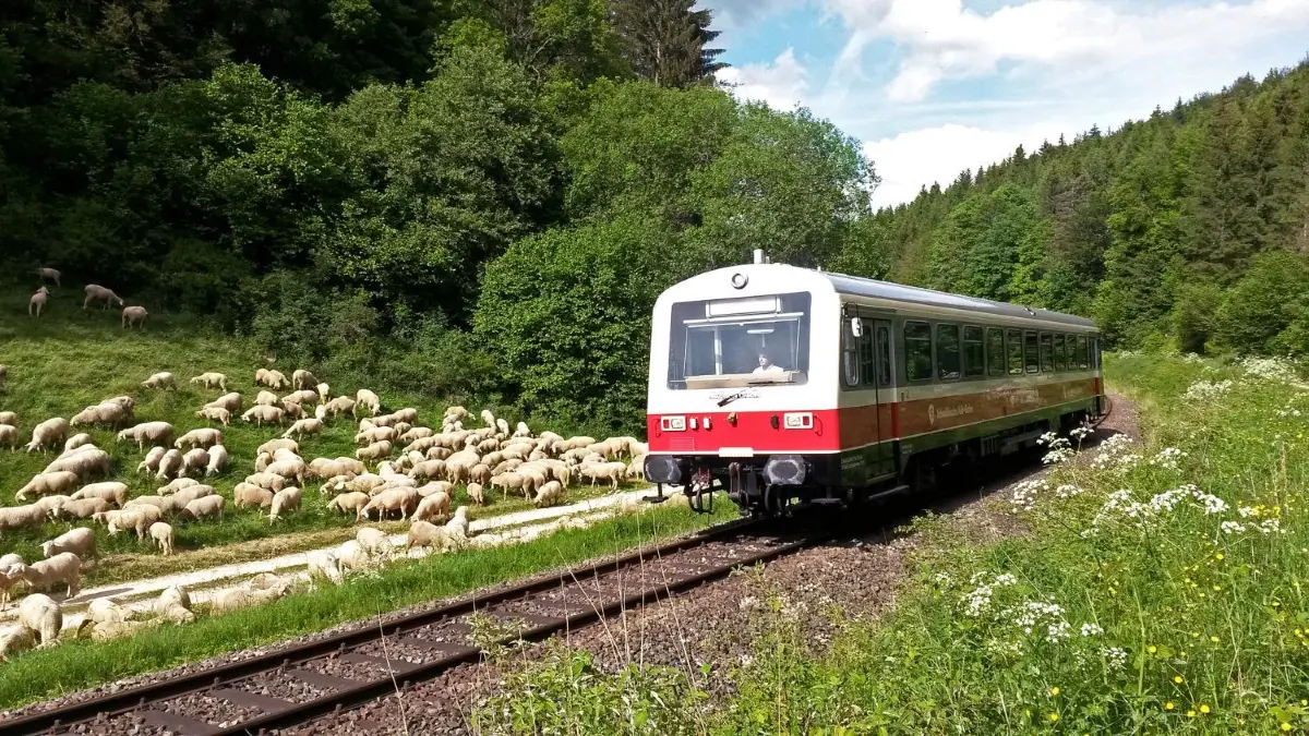 Ein Triebwagen der Schwäbische Alb-Bahn (SAB). Jetzt wird untersucht, wie die Züge öfters und schneller fahren können.
Triebwagen der SAB Schwäbische Alb-Bahn. Ein Regionales Eisenbahn-Verkehrsunternehmen aus Münsingen / Württemberg.