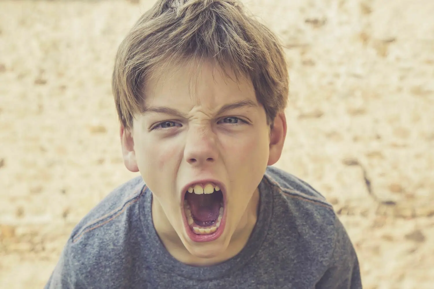 Ein Junge brüllt. Besonders Jungs testen mit aggressiver Sprache aus, wie ihre Umgebung auf sie reagiert. ⇥