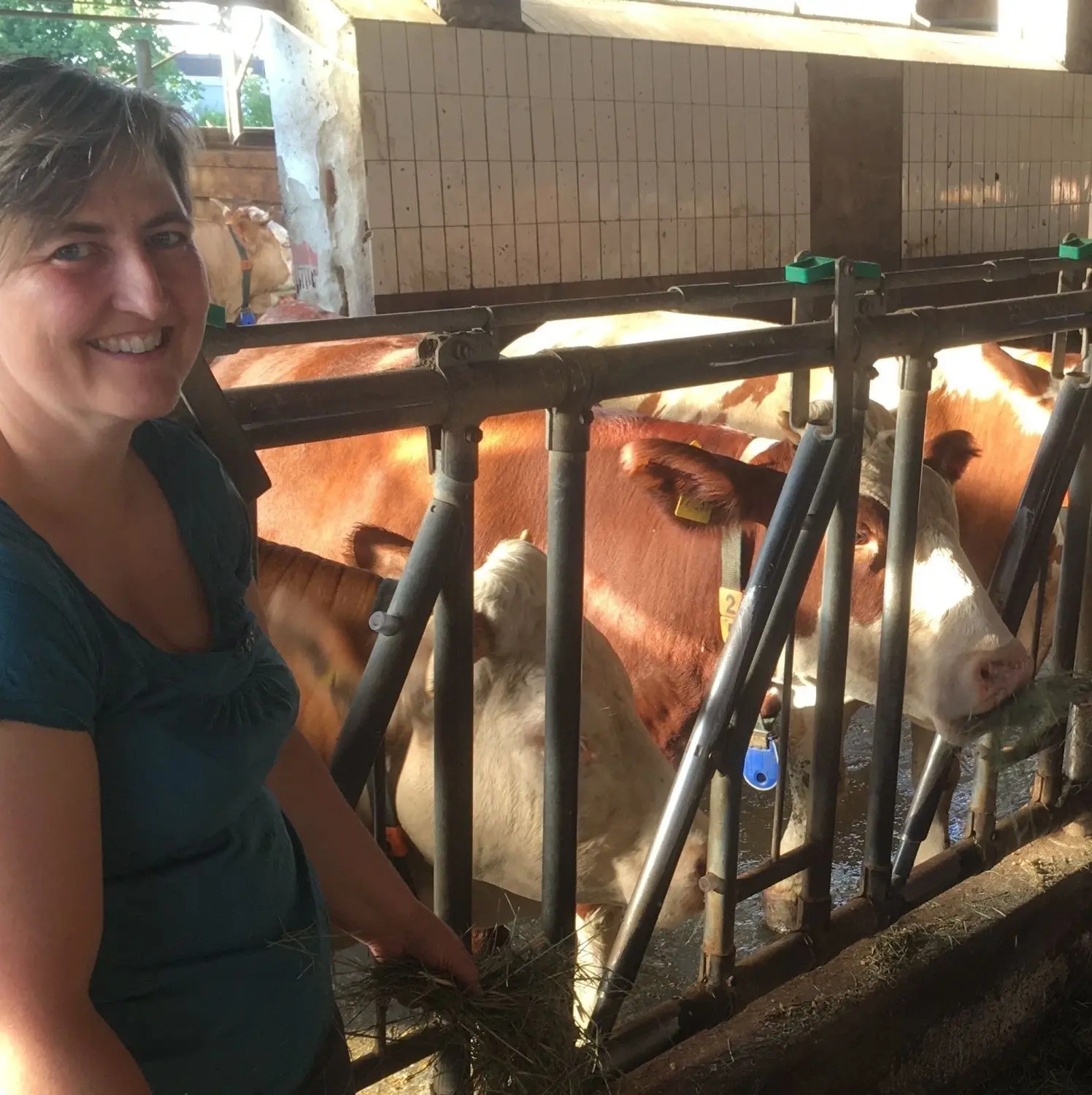 Bevor gemäht wird, sollte es nicht geregnet haben: Landwirtin Christiane Ade hat dafür das Wetter auf mehrere Kanälen im Blick.