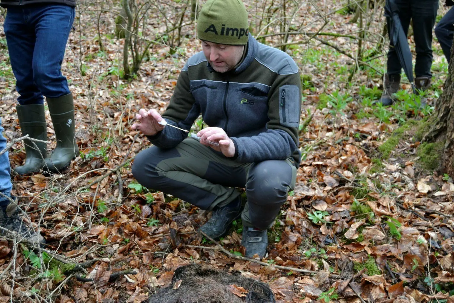 Nach dem Fund wird dem Kadaver eine Probe entnommen, die in Aulendorf auf das Virus überprüft wird.