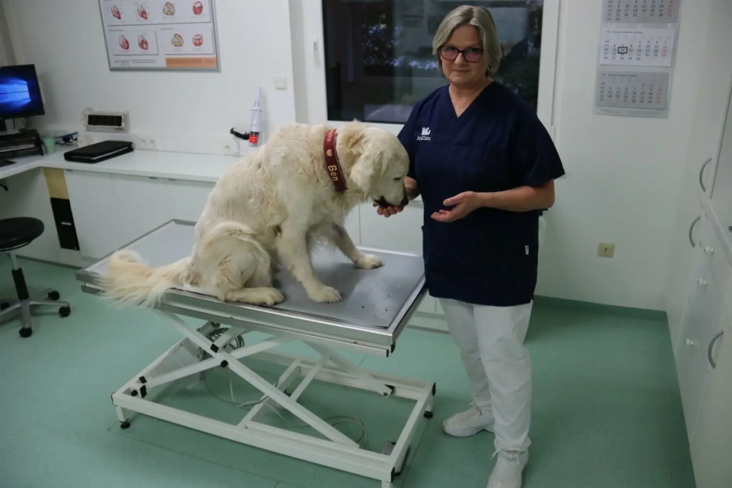 Dr. Angelika Meißner leitet seit 1997 ihre eigene Kleintierpraxis. Ihr Golden Retriever Ben durfte beim Tag der offenen Tür vor wenigen Wochen als Proband ran. Außerdem hat die Tierärztin noch einen weiteren Hund und zwei Katzen.⇥