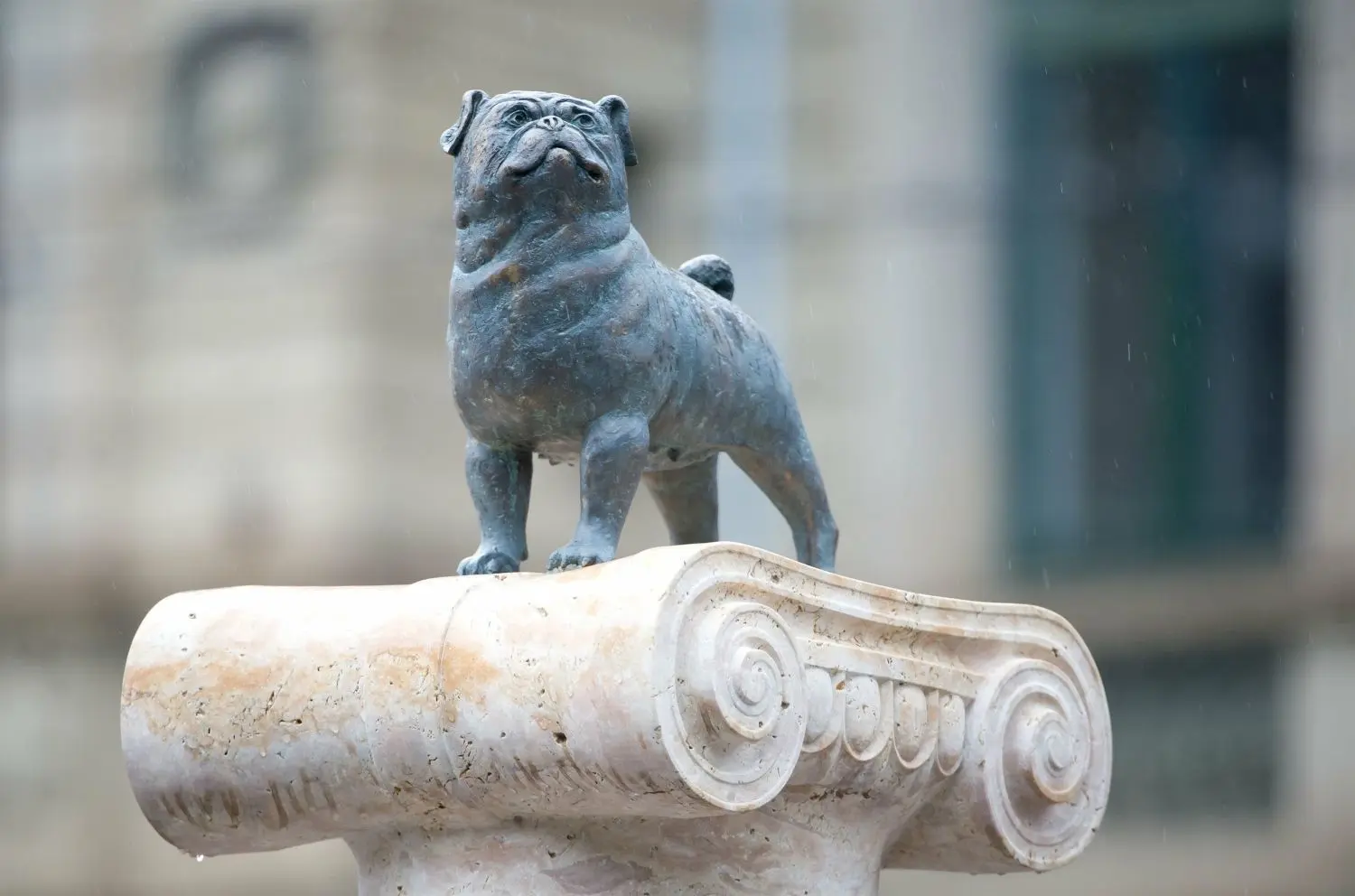 Ein Säule mit einer Mopsfigur erinnert am Stuttgarter Eugensplatz an den Humoristen Vicco von Bülow alias Loriot.