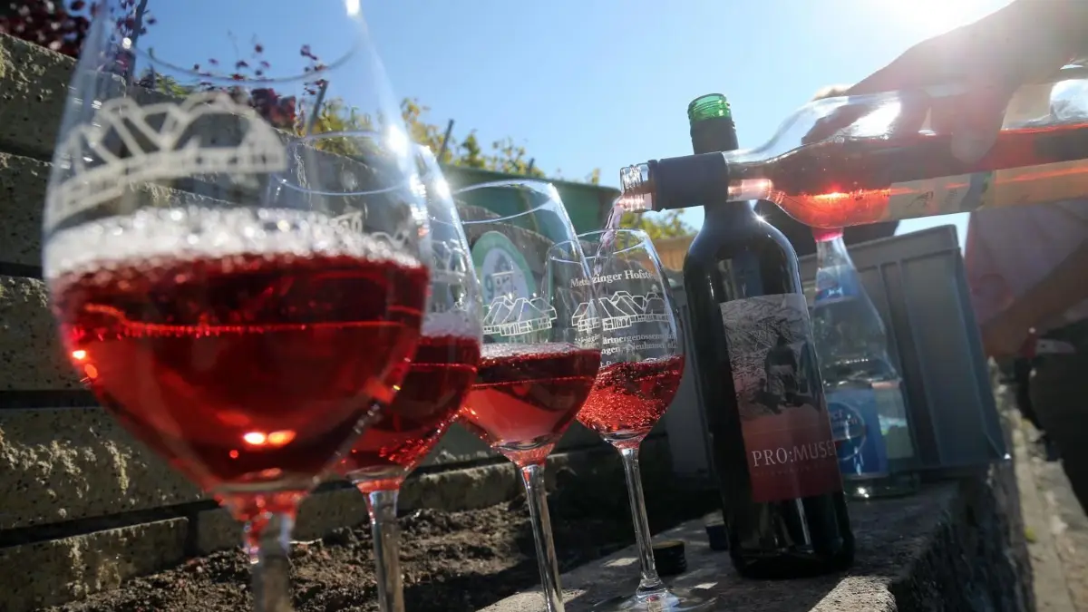 Weingenuss am Fuße der schwäbischen Alb.
Alles dreht sich um den Wein