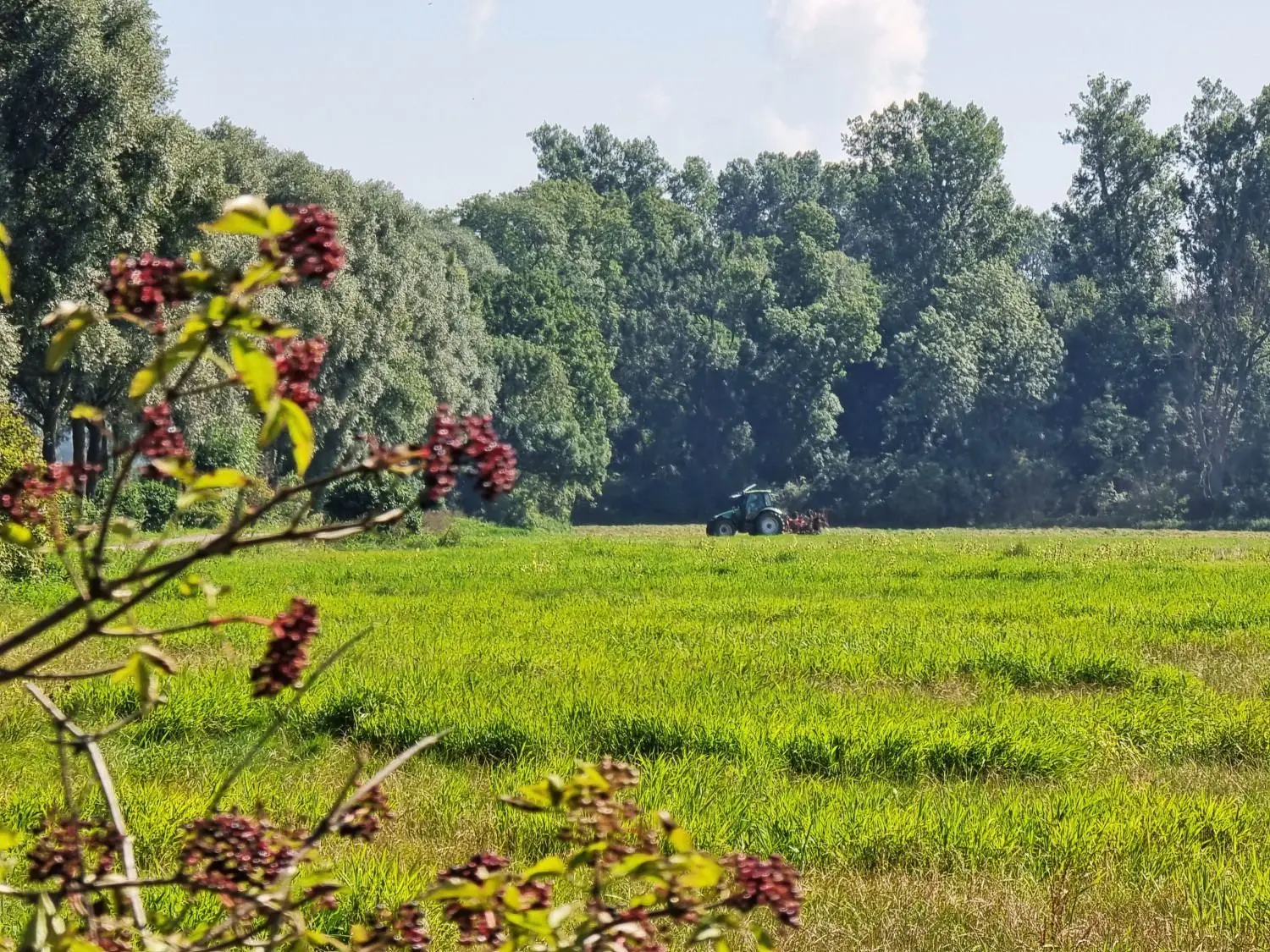Für die Landwirtschaft ist die extrem starke Grundwasserneubildung ein Problem.