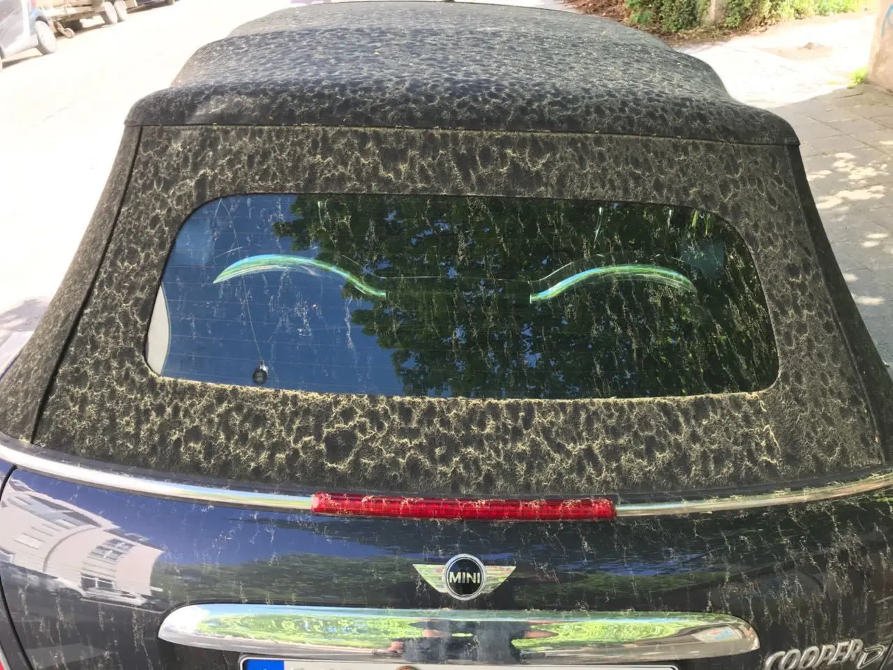 Trotz Regen: Noch immer sind Autos mit Pollenstaub bedeckt.