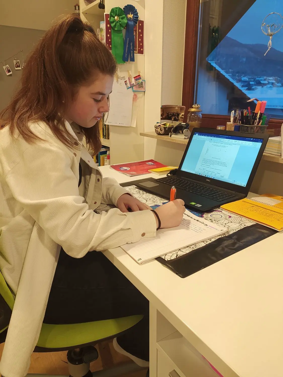 Livia Hövemeyer (14 Jahre): „Es geht ganz gut, auch wenn es manchmal langweilig ist.“ ⇥