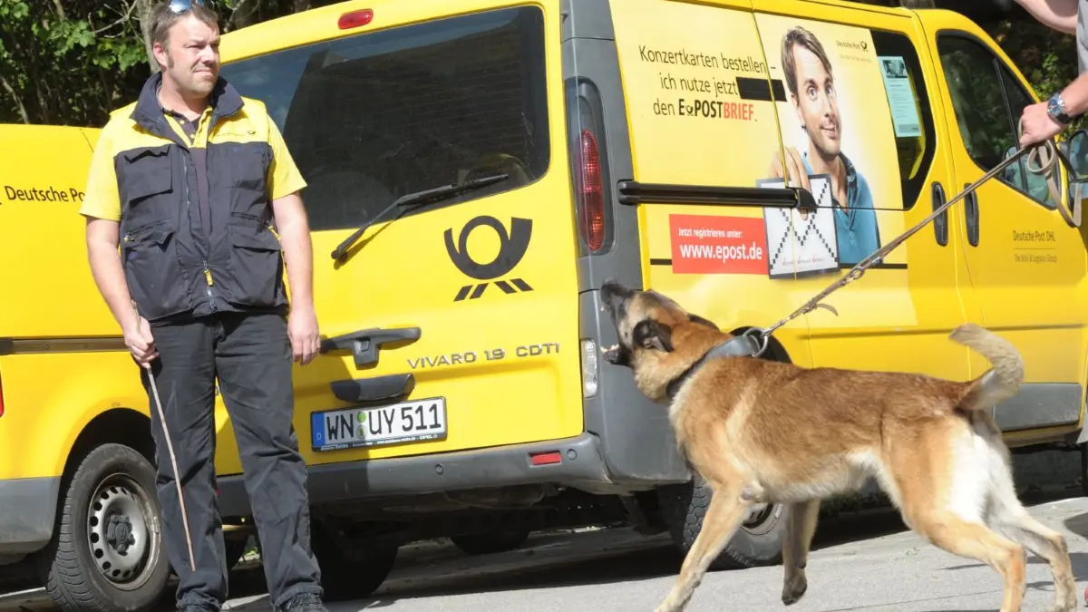 Jetzt wird’s ernst: Postbote trifft auf Hund.
