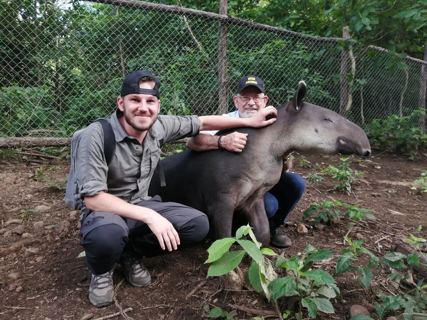 Alexander Späth (links) mit Eduardo Sacasa, der in Nicaragua ein Zuchtprogramm für Tapire ins Leben gerufen hat. Wie man an dem Kalb  sieht, ist das Programm erfolgreich.  ⇥
