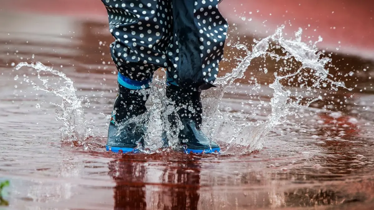 Überdurchschnittlich warm und zu wenig Regen in diesem Sommer.⇥
Ein kleiner Augenblick im Leben eines kleinen Lokalfotografen.