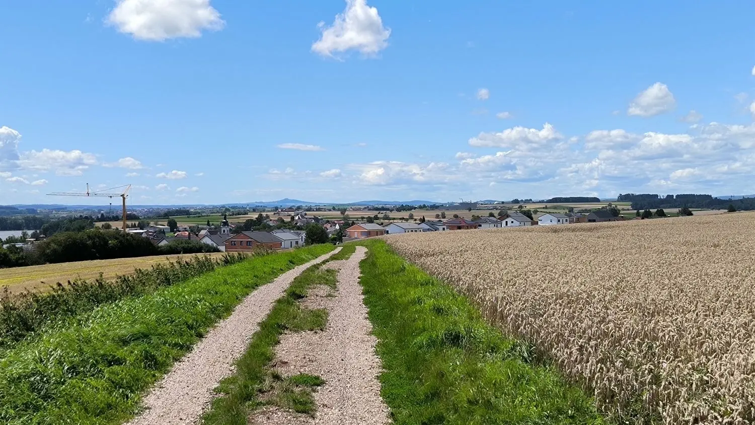Blick vom Pilgerweg auf das Baugebiet Oberdischingen Nord mit dem Lackierwerk im Gewerbegebiet Burren bei Öpfingen im Hintergrund (halbrechts).