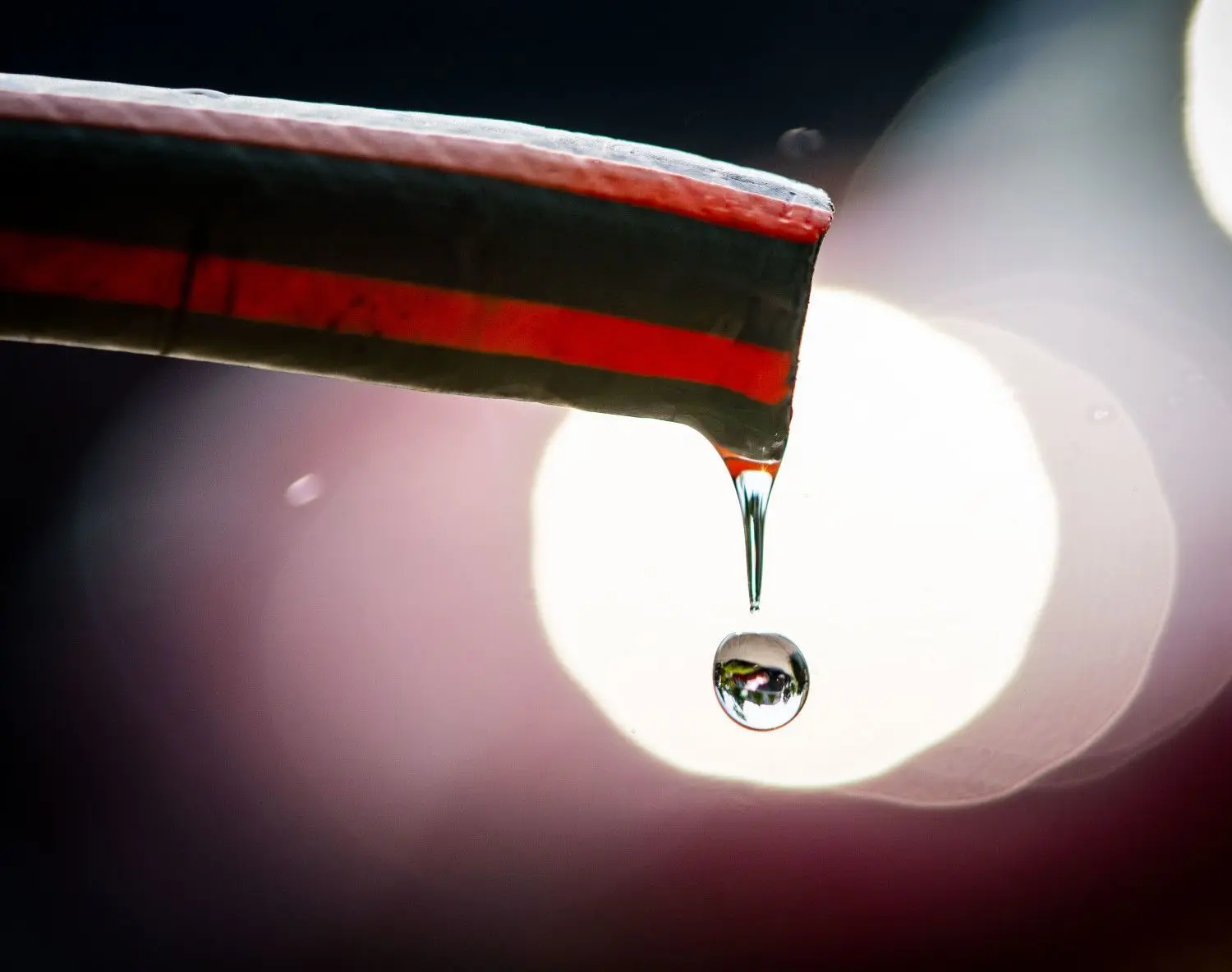 Damit es erst gar nicht zum Mangel kommt, sind sinnvolle Wassersparmethoden: Mit Regenwasser die Blumen gießen oder das Auto waschen.⇥
