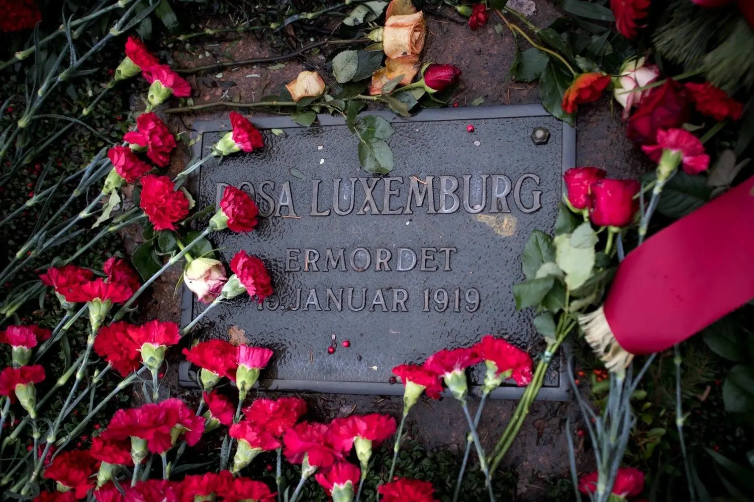 Rote Nelken zum 100. Jahrestag des Verbrechens an den Spartakisten: Die Gedenktafel für Rosa Luxemburg in Berlin. ⇥