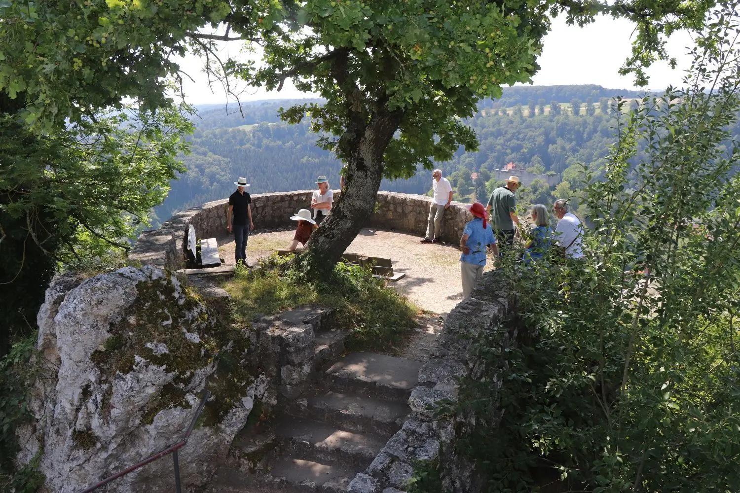 In den Genuss vieler Informationen und einer tollen Aussicht kamen die Besucher der Führung auf Hohengundelfingen. Die Anlage selbst bezeichnet der Tübinger Historiker als „ziemlich gigantisch“ für die damalige Zeit. Sie war ein Symbol der Macht. ⇥
