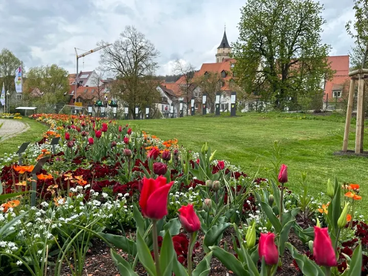 So ist der Rückbau geplant