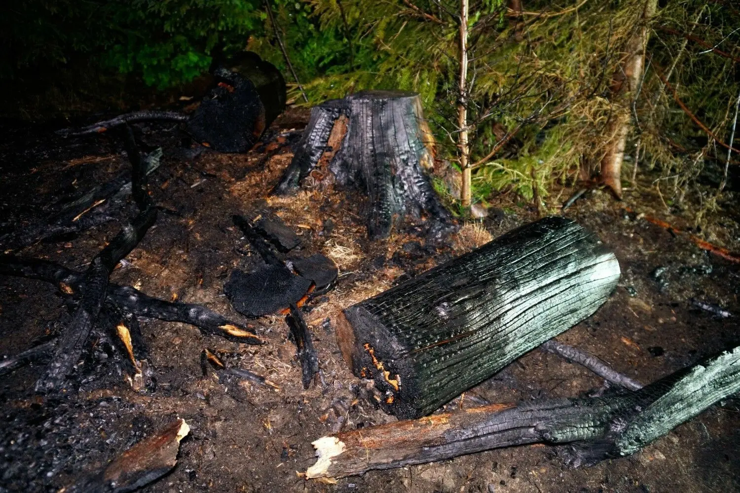 Großeinsatz der Feuerwehr bei einem Waldbrand bei Rechberghausen.