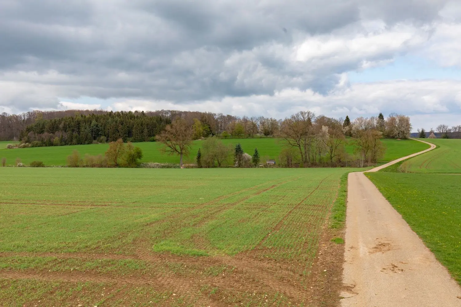 Und hier die von der Firma Wattner gewünschte Fläche. Beide Solarparks seien später weder von Amstetten-Dorf noch Oppingen oder Reutti einsehbar, versichern die Investoren.