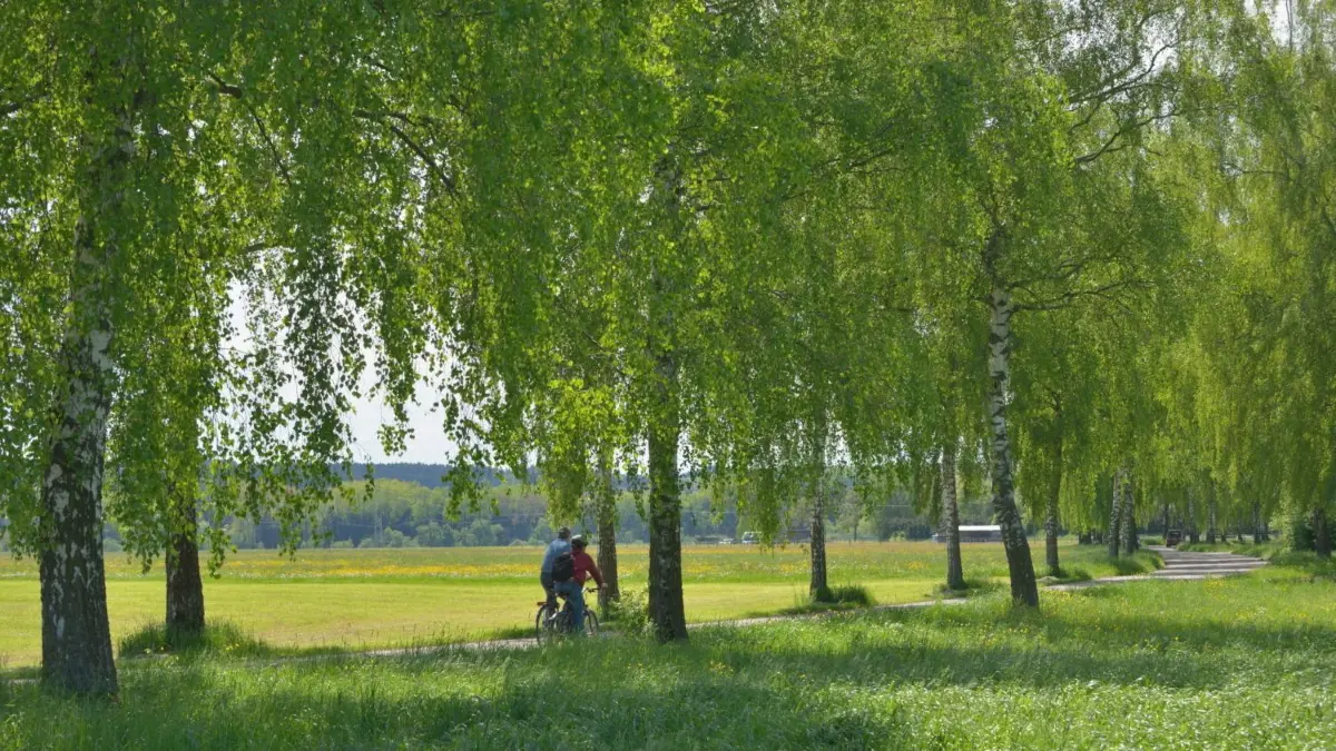 Der Donauradweg, hier bei Munderkingen, wird erneut mit vier Sternen zertifiziert. Damit wirbt die Region bei der CMT.⇥
Meine Heimat Munderkingen
Donauradwanderweg Algershofen