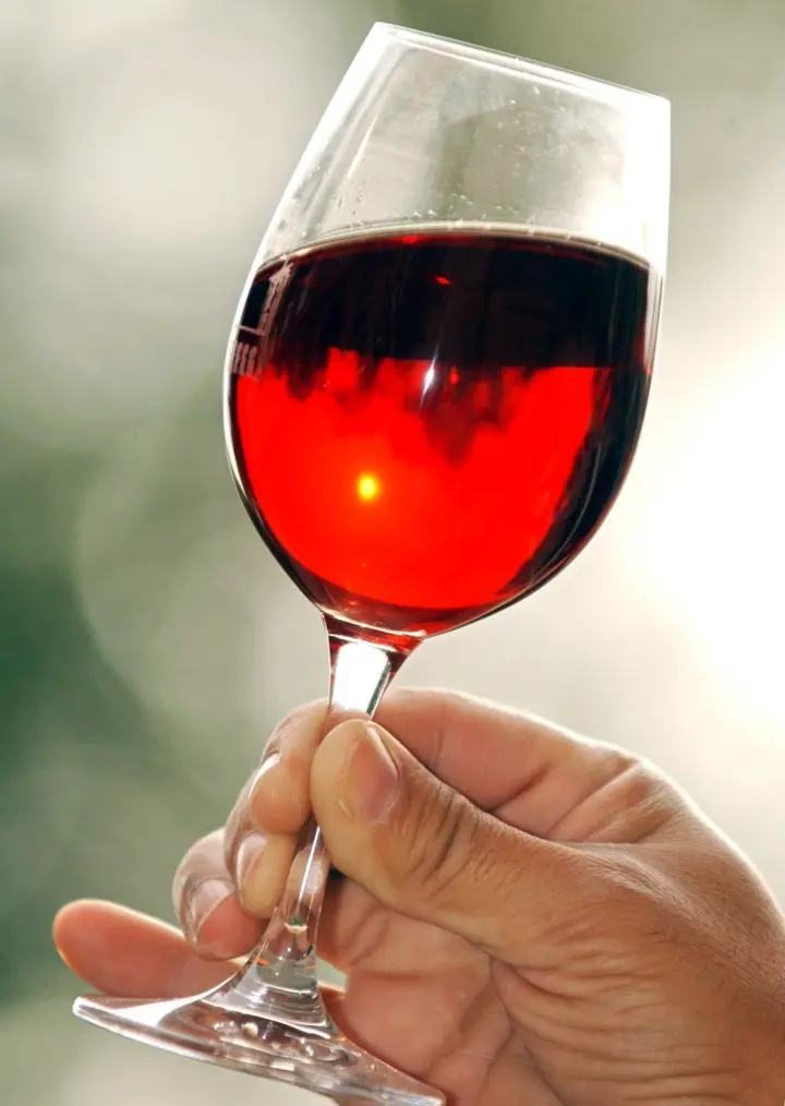 „Bier auf Wein“-Regel wissenschaftlich untersucht