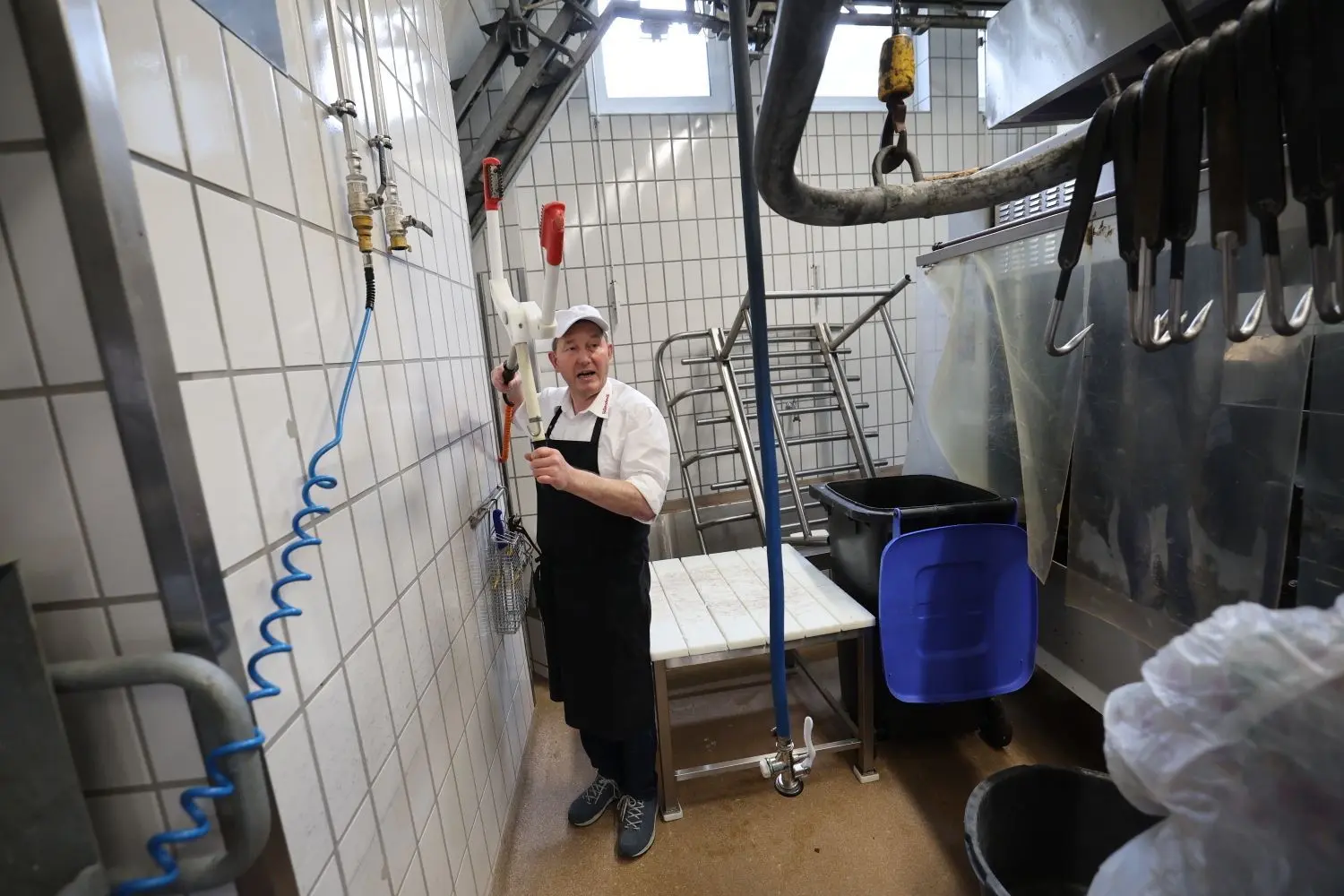 Ludwig Failenschmid erklärt, wie Schweine mittels Strom betäubt werden.
