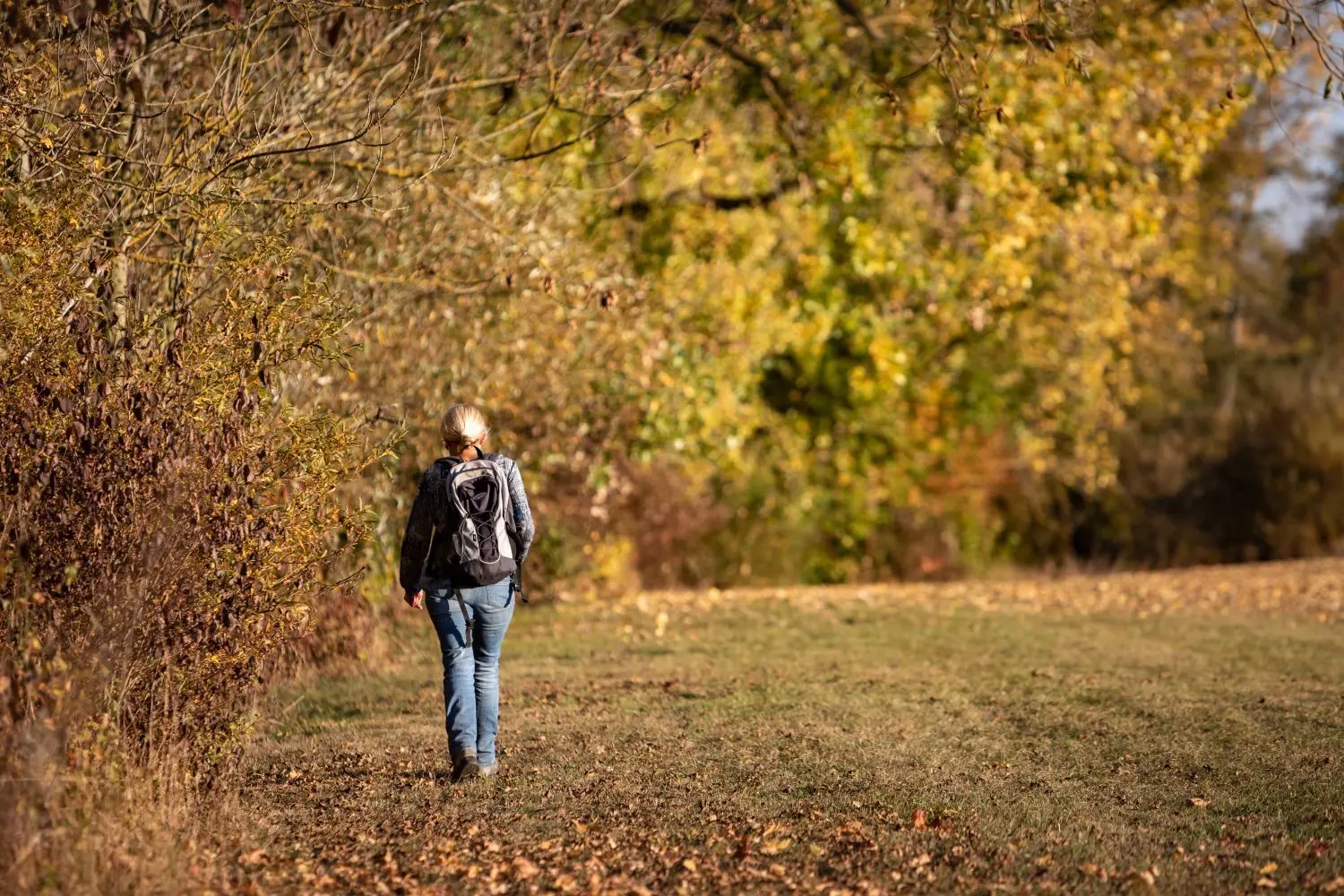 Der Oktober bot beste Bedingungen für Wanderungen.