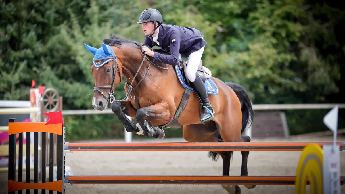 Tim Honold auf Lacrosse.
Reitturnier des RSZ in Illertissen - Honold Tim - Pferd Lacrosse 10