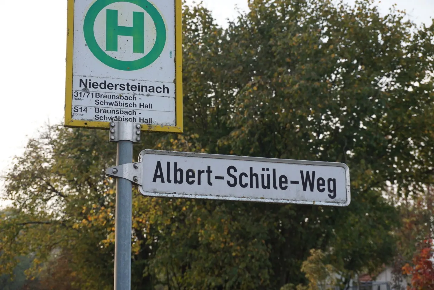 Noch im Jahr 1997 wurde die einzige Straße im Ilshofener Teilort Niedersteinach nach dem aus Wolfenbrück bei Oberrot stammenden NS-Funktionär Albert Schüle benannt, der in den 30er-Jahren einen Bauernhof in Niedersteinach erworben hatte. ⇥