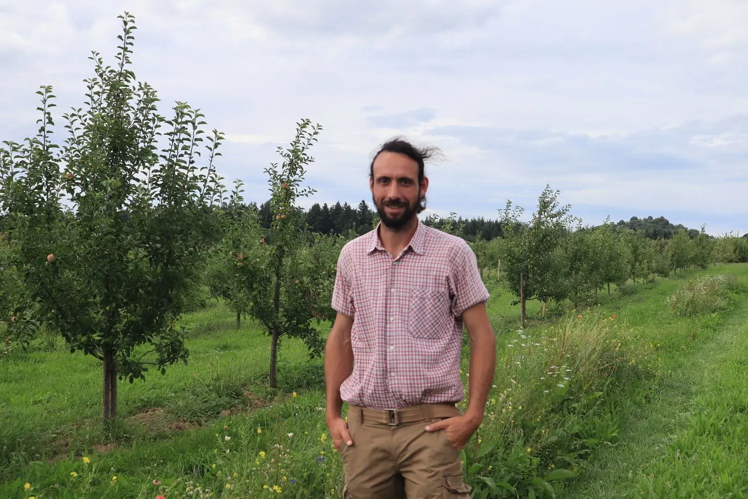 Obstbaubetriebsleiter Martin Nagel bewirtschaftet die Obstanlage nur biologisch.