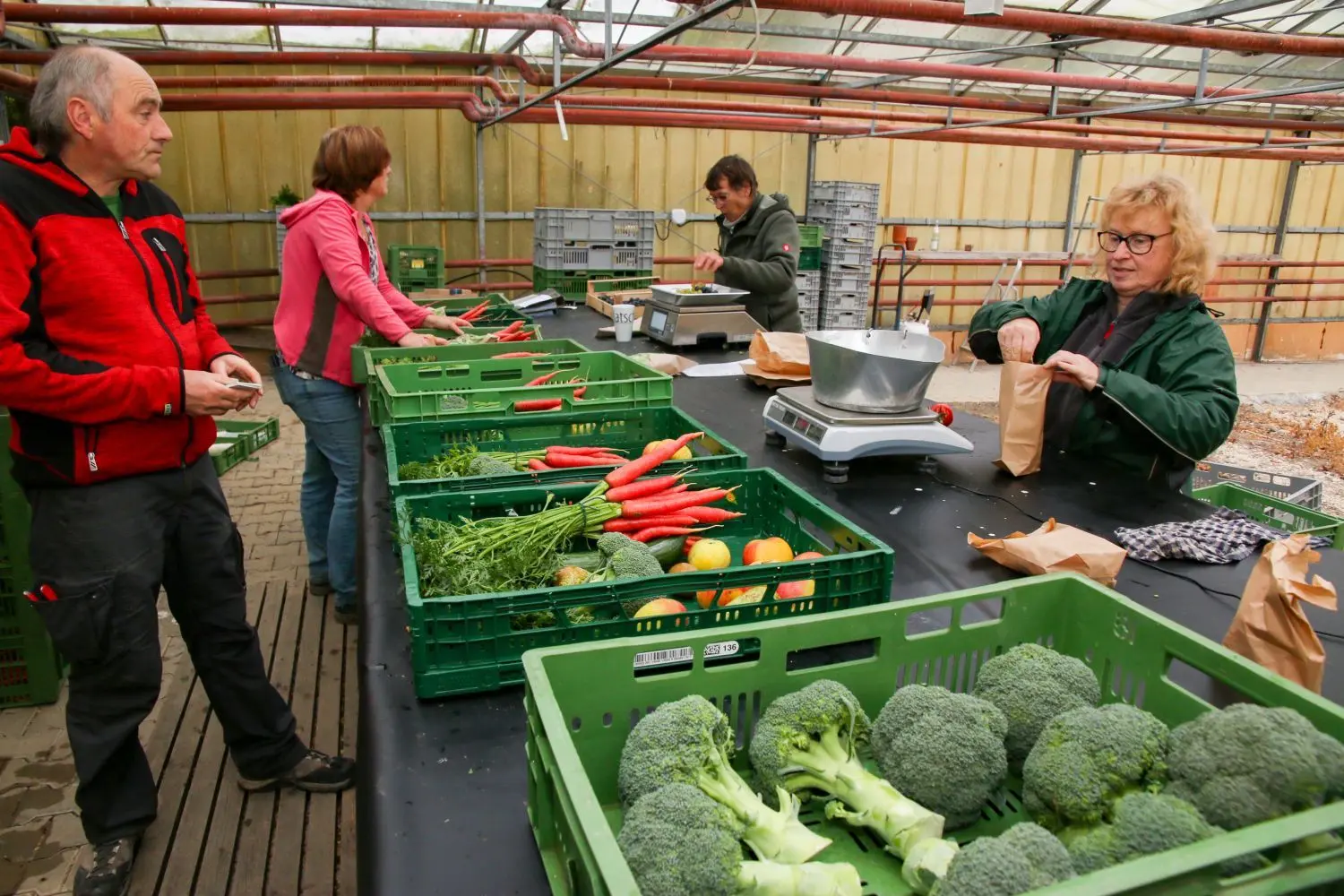 Geliefert wird das, was der regionale Gemüsemarkt gerade hergibt. Dabei ist Thilo Knoblauch (links) und seiner Frau Beate (vorne rechts) Abwechslung sehr wichtig.