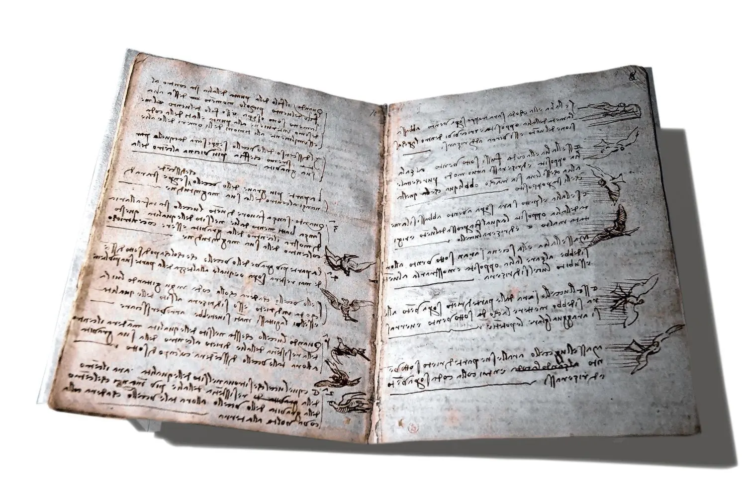 Der „Codex Leicester“, das womöglich teuerste Manuskript der Welt, war in diesem Jahr bereits in den Uffizien ausgestellt.