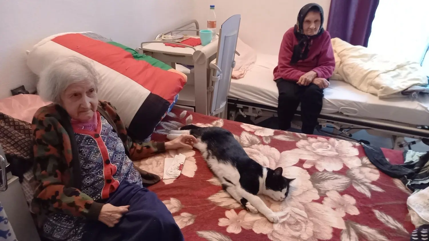 Besuch in einem Altenheim: Vier Frauen und eine Katze leben in nur einem Zimmer. ⇥