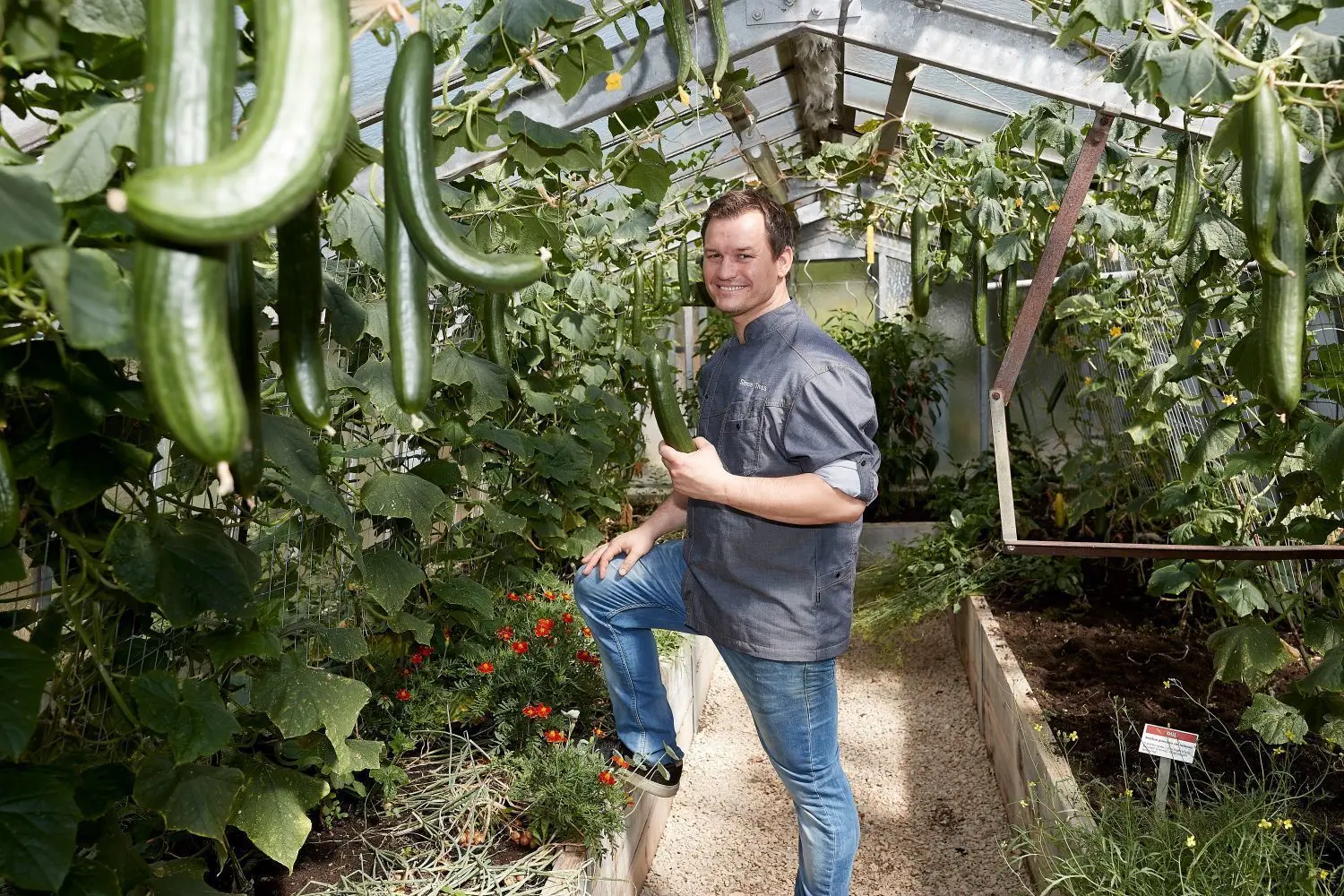 Setzt der Tress-Gastronomie mit dem „1950“ jetzt ein Dach auf: Simon Tress im eigenen Gewächshaus.