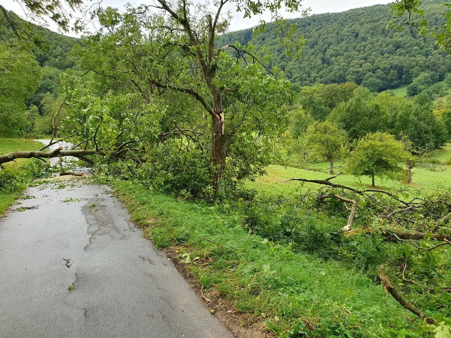 Oberhalb von Glems sind sämtliche Wege gesperrt.