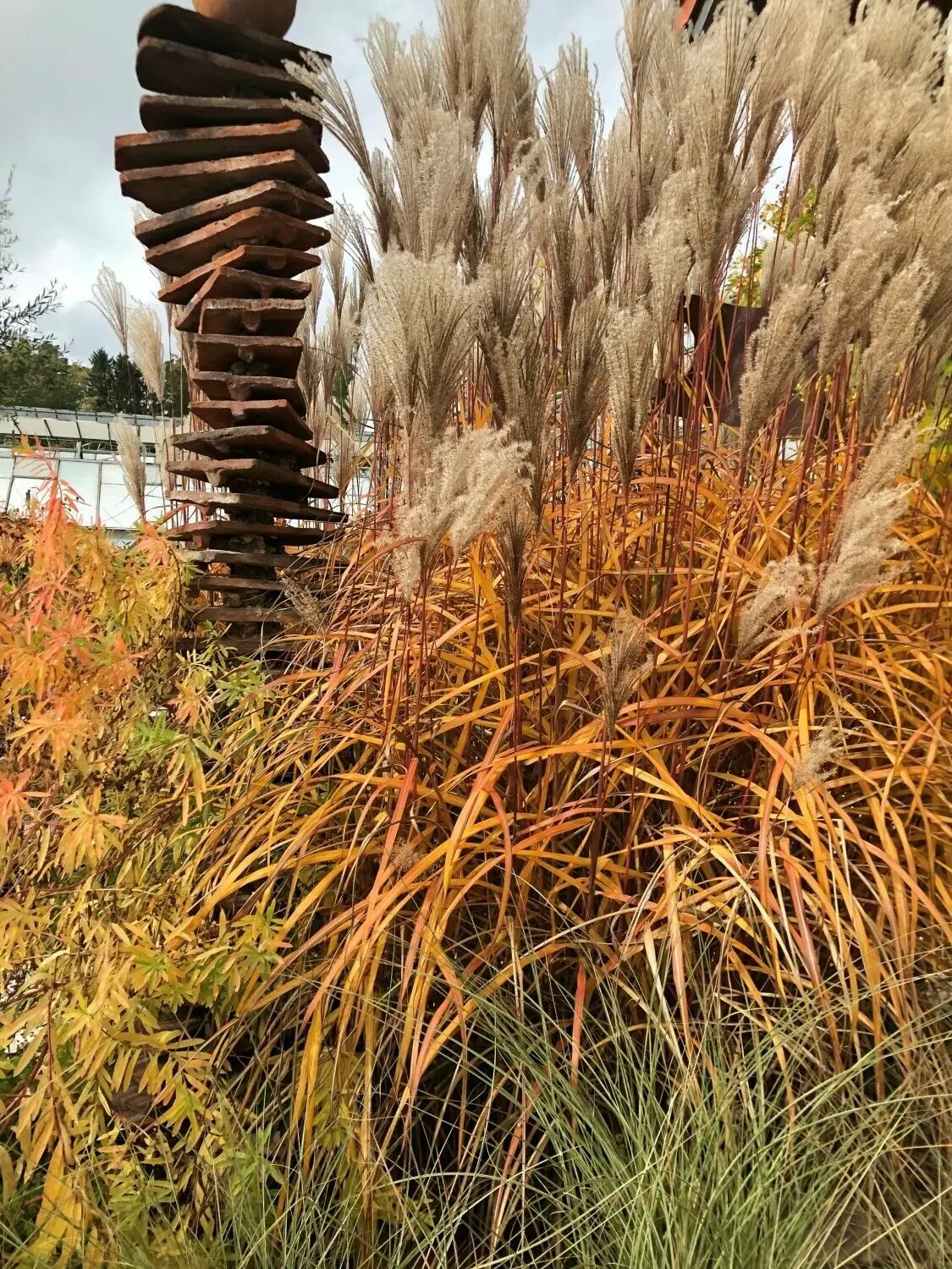 Staudengärtnerei Illertissen Gartentag mit 90 Ausstellern Trödel und
