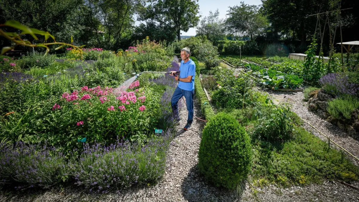 Wasser marsch! Im Kreismustergarten greift Rudolf Siehler zum Gartenschlauch.
Kreismustergarten für Gartenserie - Treffen mit Kreisgärtner Rudolf Siehler für eine Tour im Weißenhorner Kreismustergarten