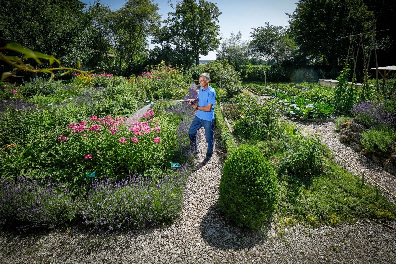 Wasser marsch! Im Kreismustergarten greift Rudolf Siehler zum Gartenschlauch.