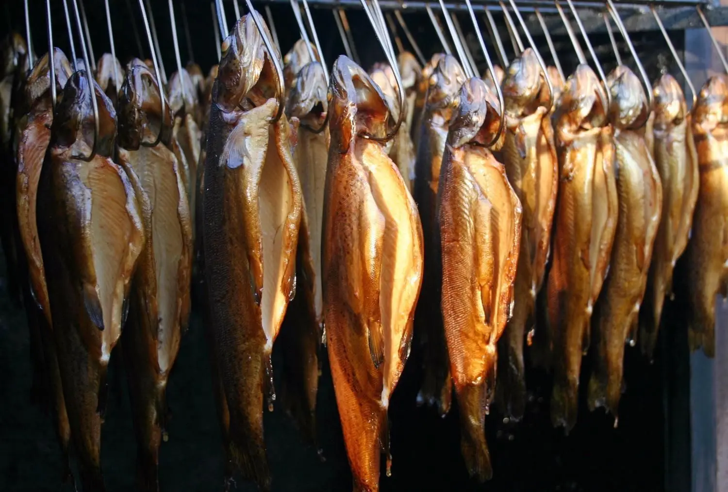 Mit dem Buch sollen Feinschmecker dazu ermutigt werden, das Räuchern von Fischen auszuprobieren. ⇥