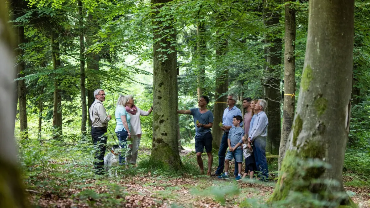 Wie hier im Friedwald in Münsingen soll es nach der Eröffnung des Friedwalds in Blaubeuren auch Führungen geben.⇥