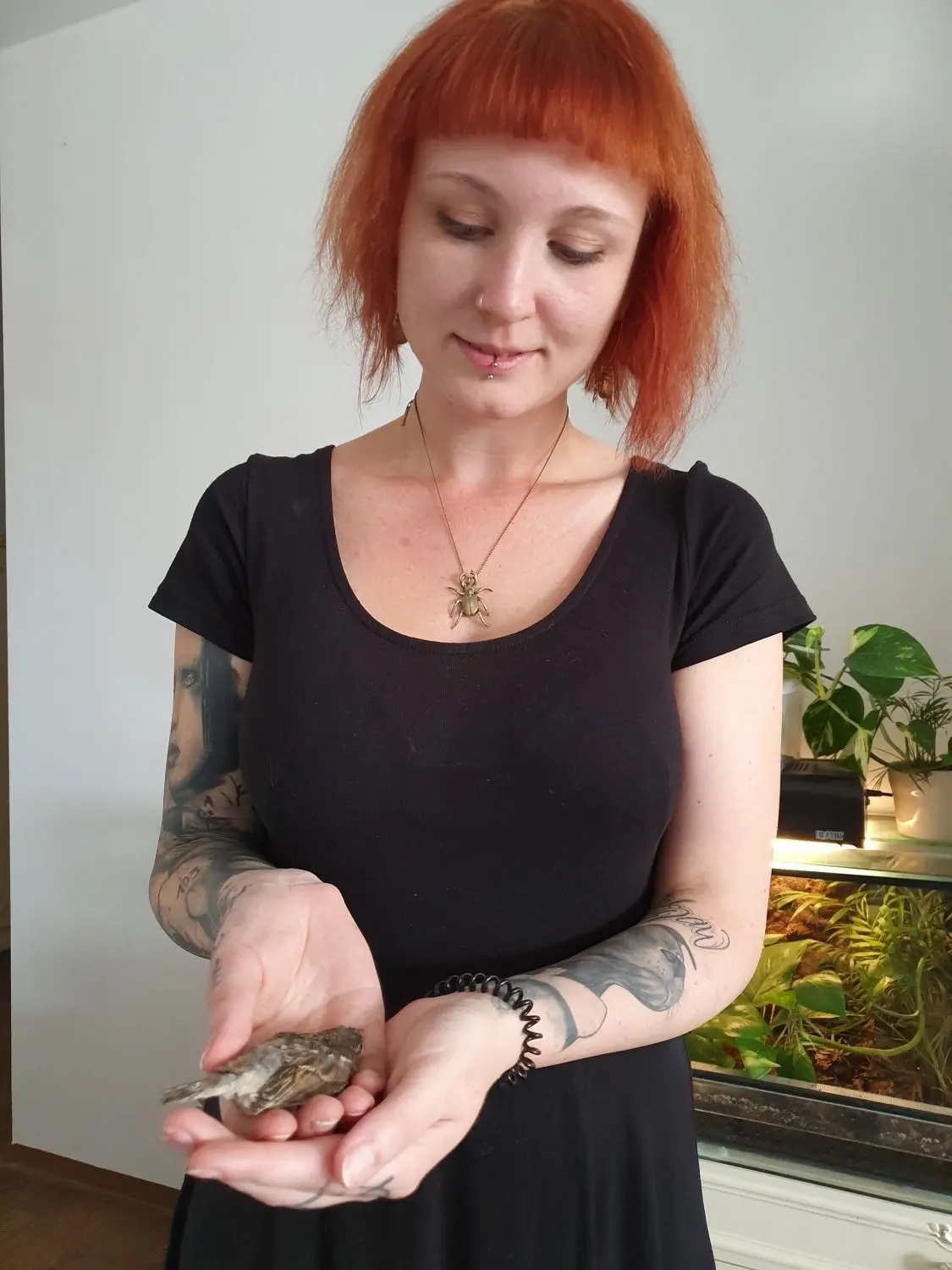 Anja Noll nimmt die Vögel, die sie pflegt, auch schon mal in die Augenarztpraxis mit, in der sie arbeitet.