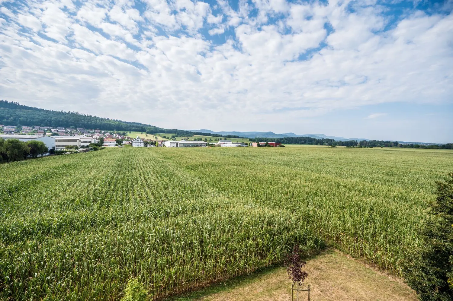 Das Ackerland erhalten oder Gewerbeflächen ausweisen? Darum geht der Streit in Donzdorf. ⇥