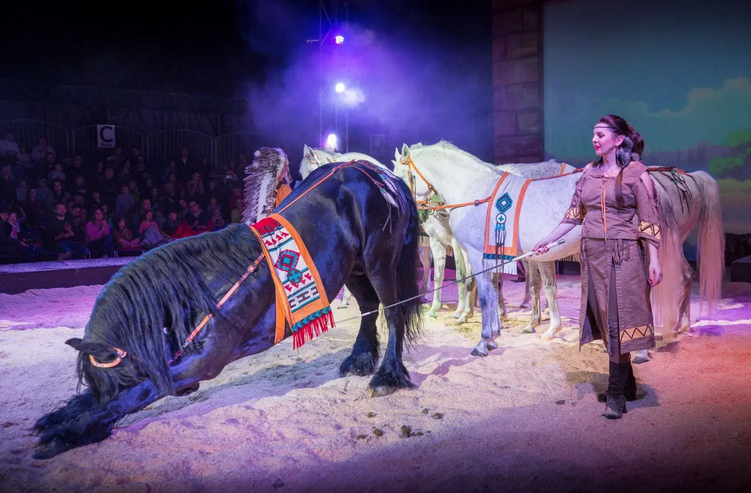 Pferdeshow "Yakari und Kleiner Donner"⇥