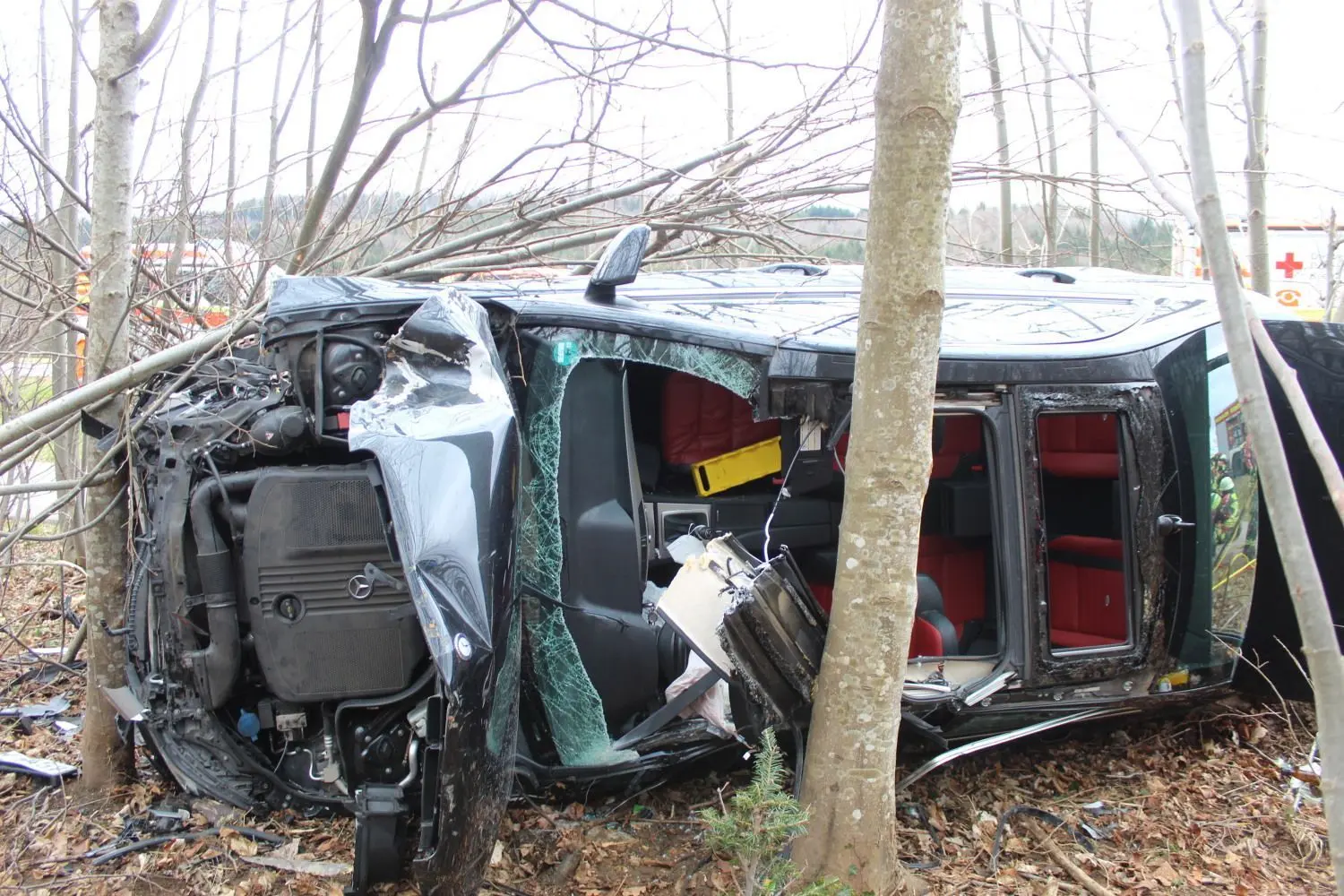 Neben der B 32 landete der B-Klasse-Mercedes im Wald. Der 65-jährige Fahrer starb noch an der Unfallstelle.